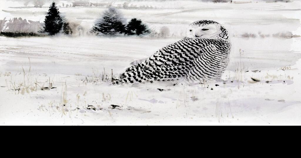 Birds in Art 2019 taking flight at the Woodson Art Museum Wake Up