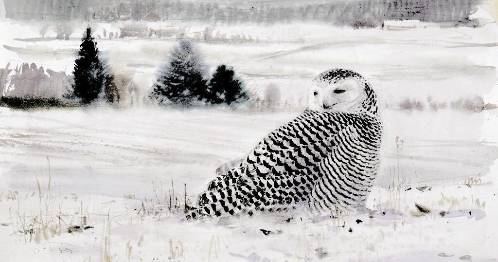 Birds in Art 2019 taking flight at the Woodson Art Museum Wake Up