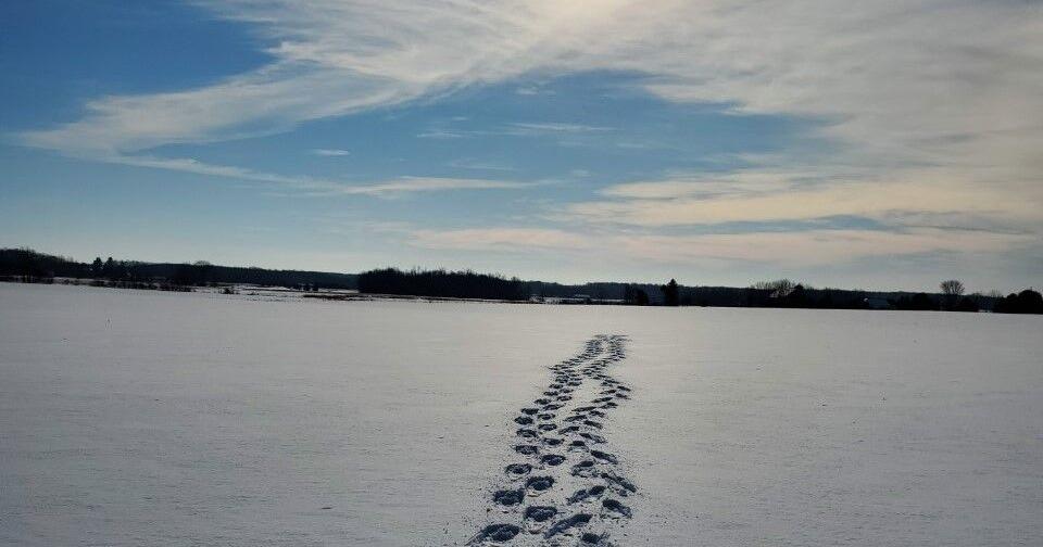 Small amounts of snow in the forecast | Weather | waow.com