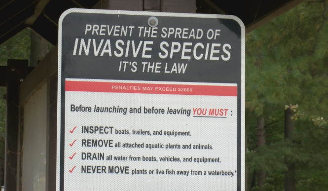 invasive species sign