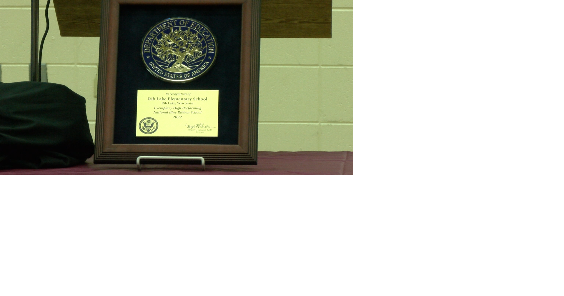 Rib Lake Elementary holds celebration for being National Blue Ribbon