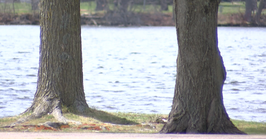 Stevens Point named Tree City USA | News | waow.com