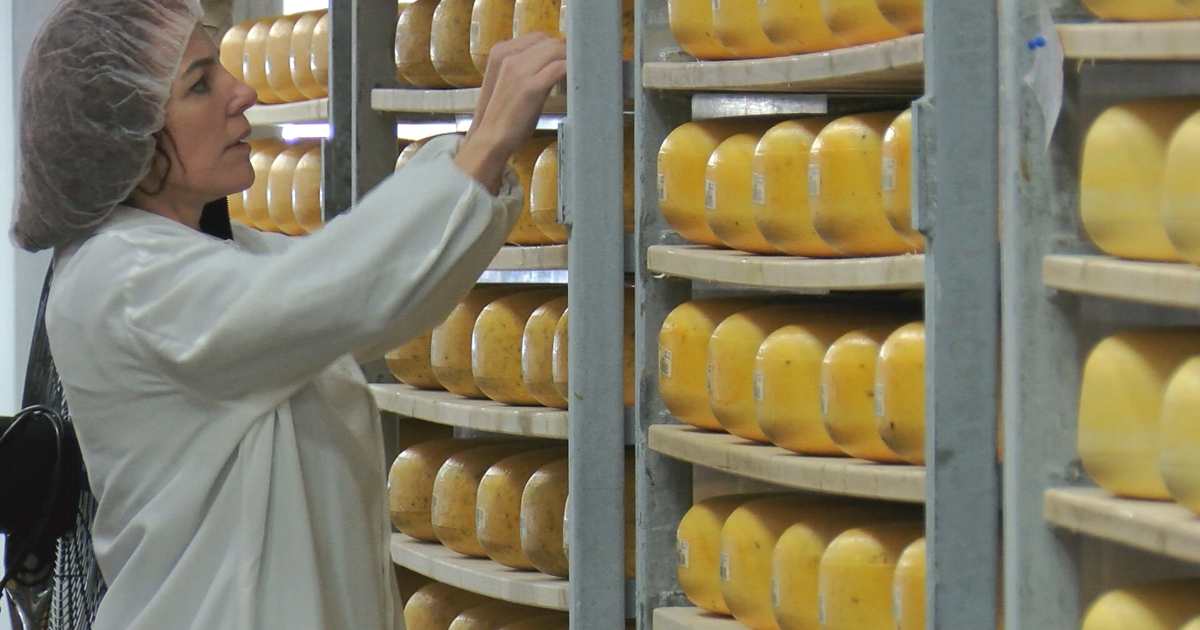 Thorp's Marieke Gouda owner now a Wisconsin Master Cheese Maker | News ...