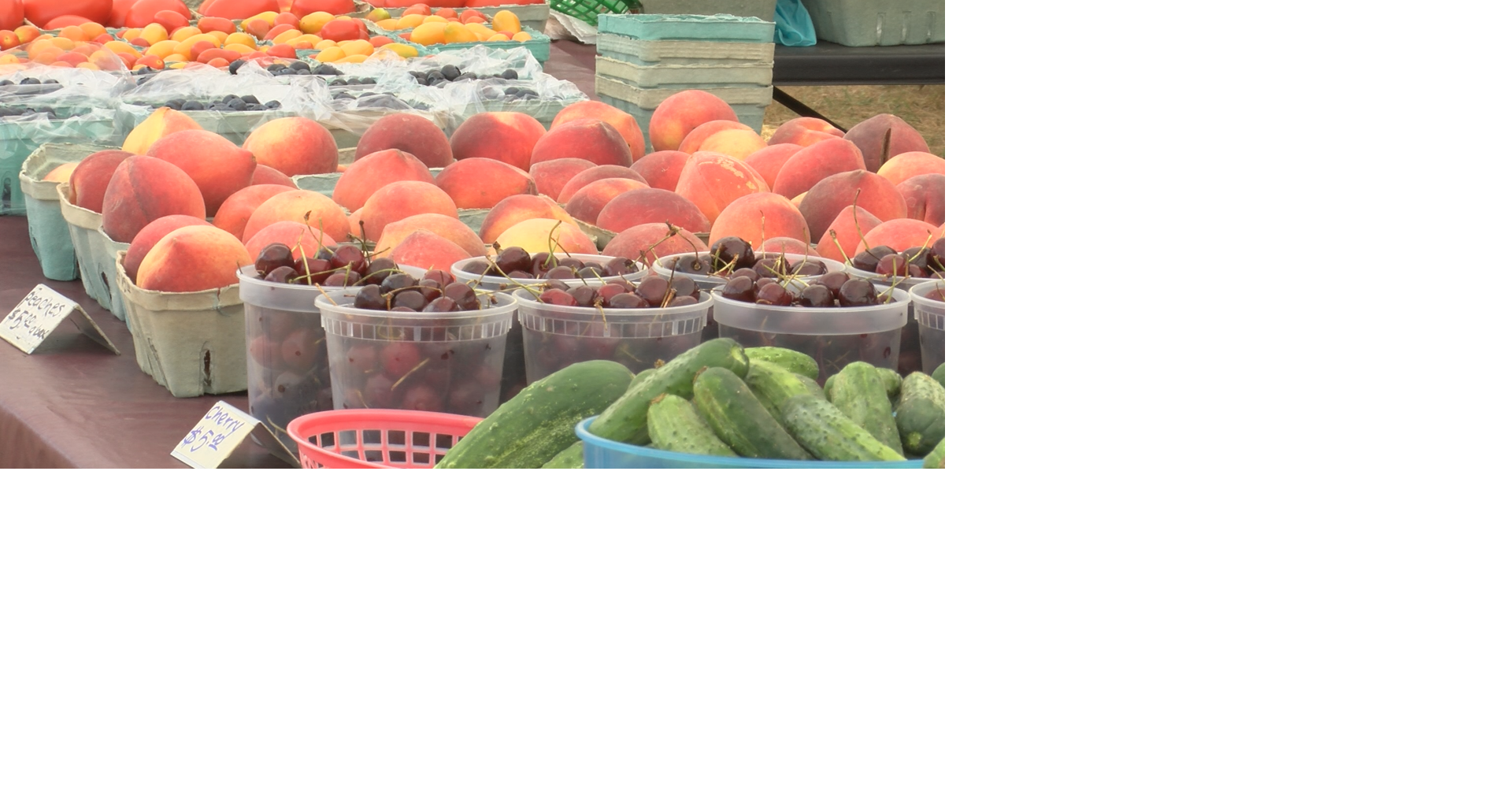 National Farmers Marker Week: More than fresh produce