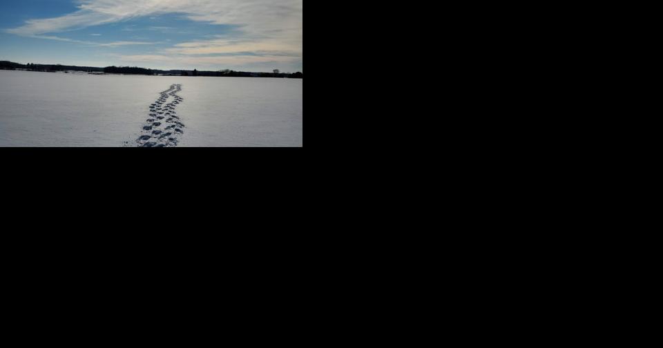 Nice today, then back to Winter-like temps - Vimarsana News