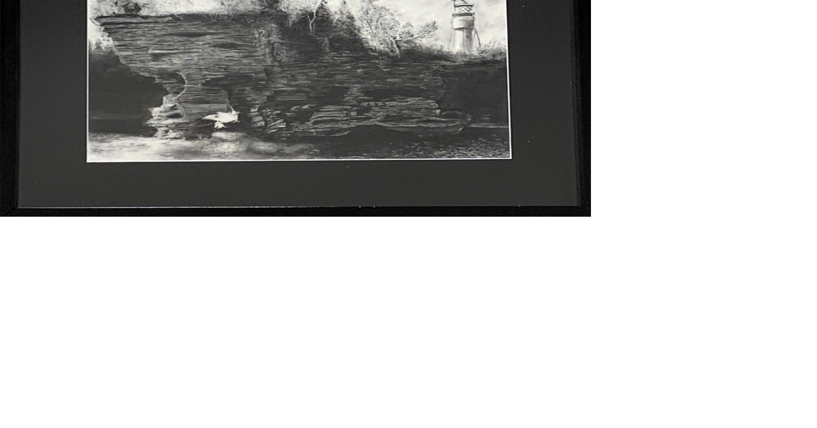 Wausau East claims back-to-back wins in Rep. Tiffany's congressional art competition
