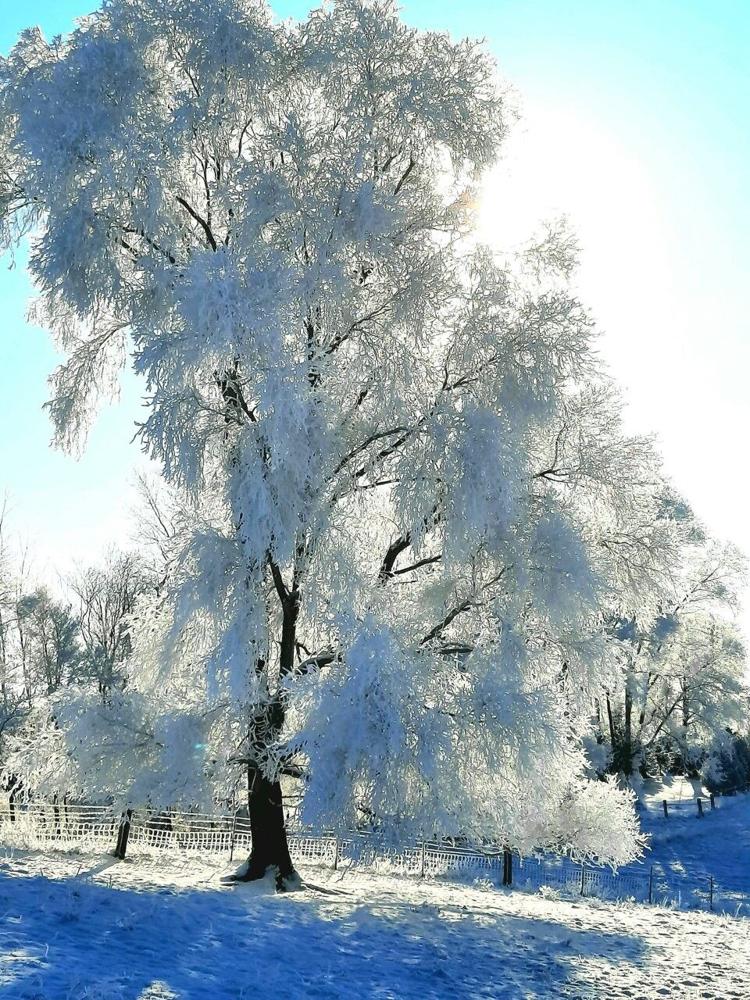 Snow and wind in the forecast Weather