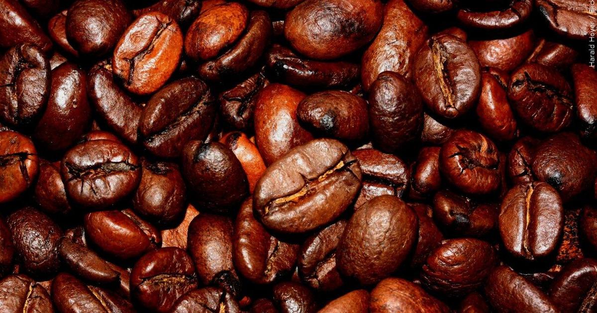 Contrary to some predictions, coffee production is increasing | Weather ...