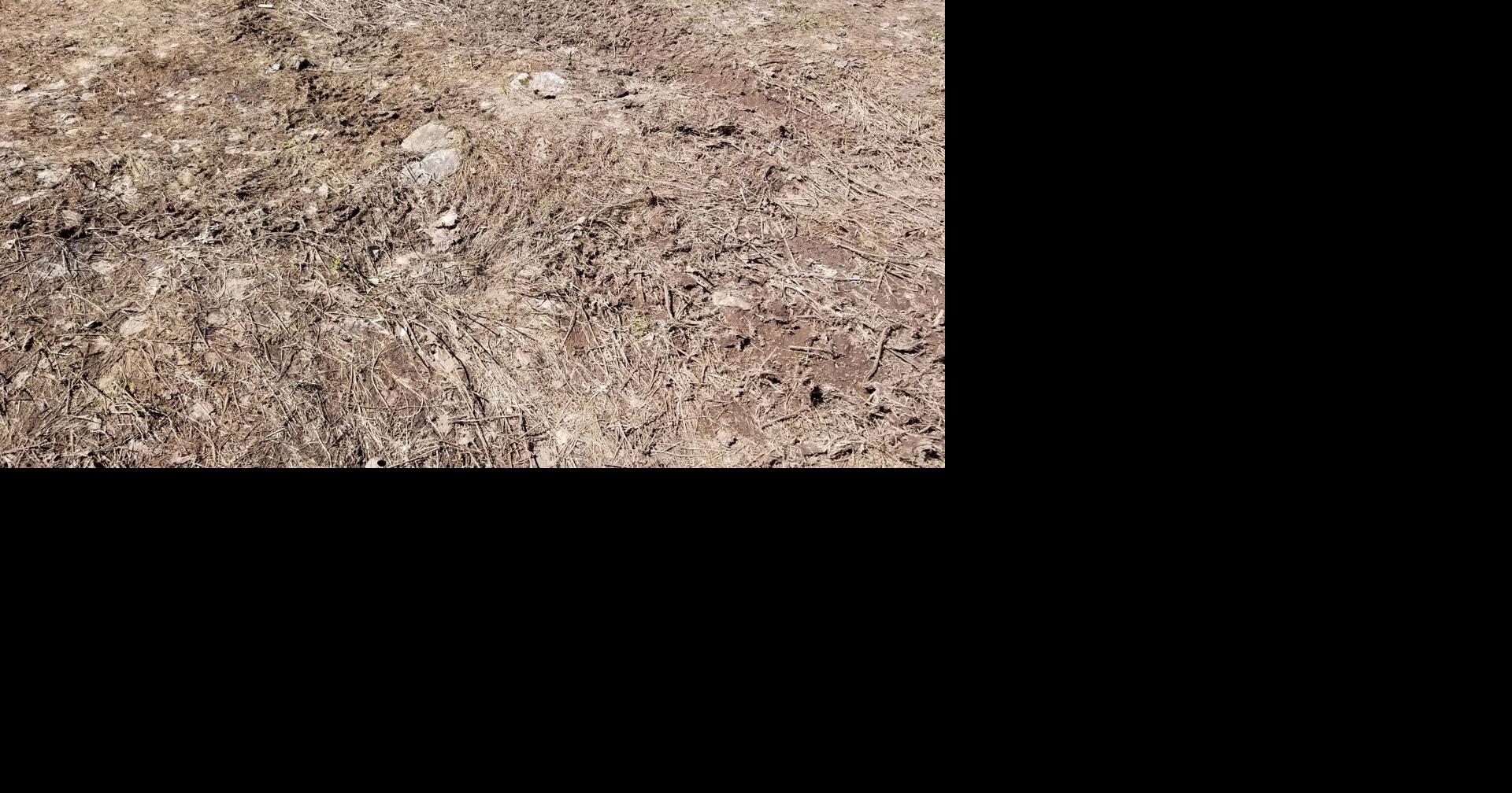 Tracking the Snowmelt Contest in 2024 News