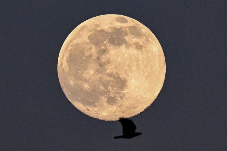 What to know about Monday's worm moon lunar eclipse News