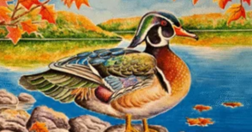 Wisconsin Education Association accepting submissions for annual art contest