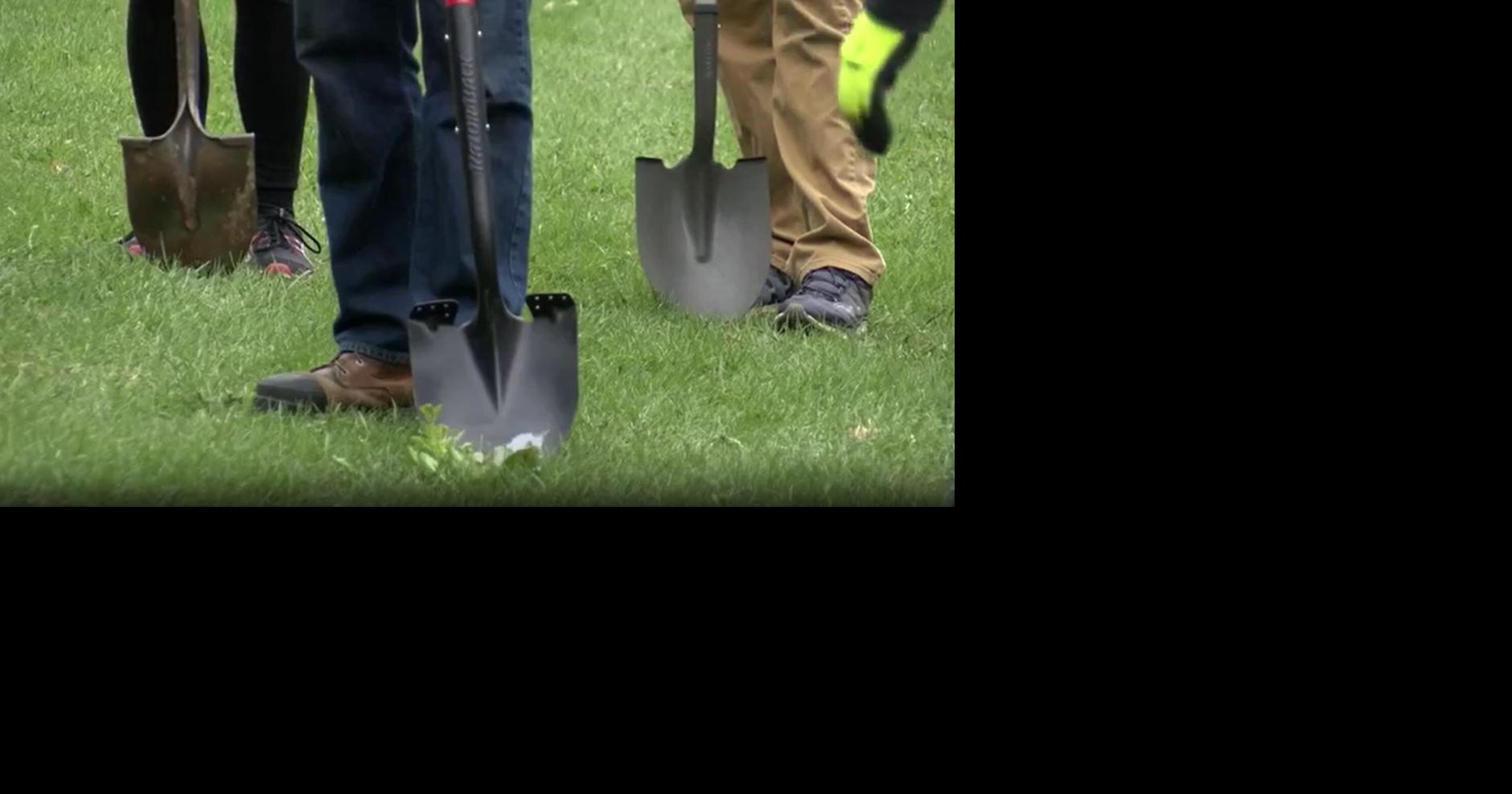 Volunteers relocate young white pine trees in Marathon Park for Arbor