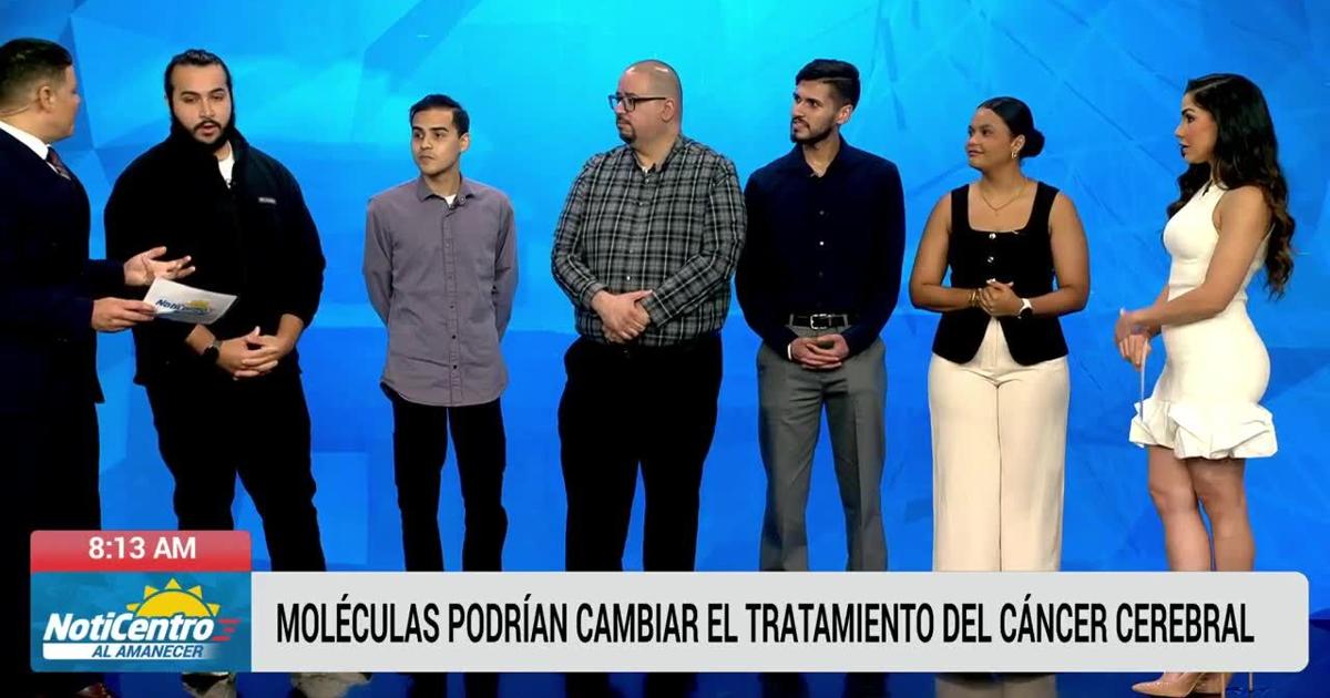 Investigadores UPR Cayey trabajan con moléculas que cambiarían tratamiento cáncer