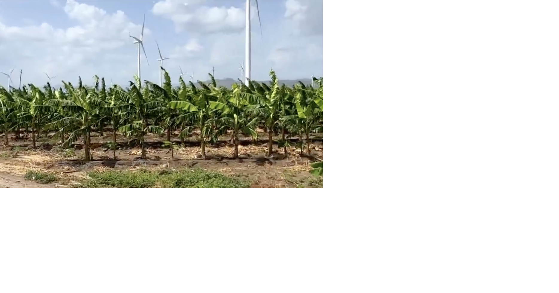 USDA amplía declaración de desastre por sequía a tres pueblos adicionales