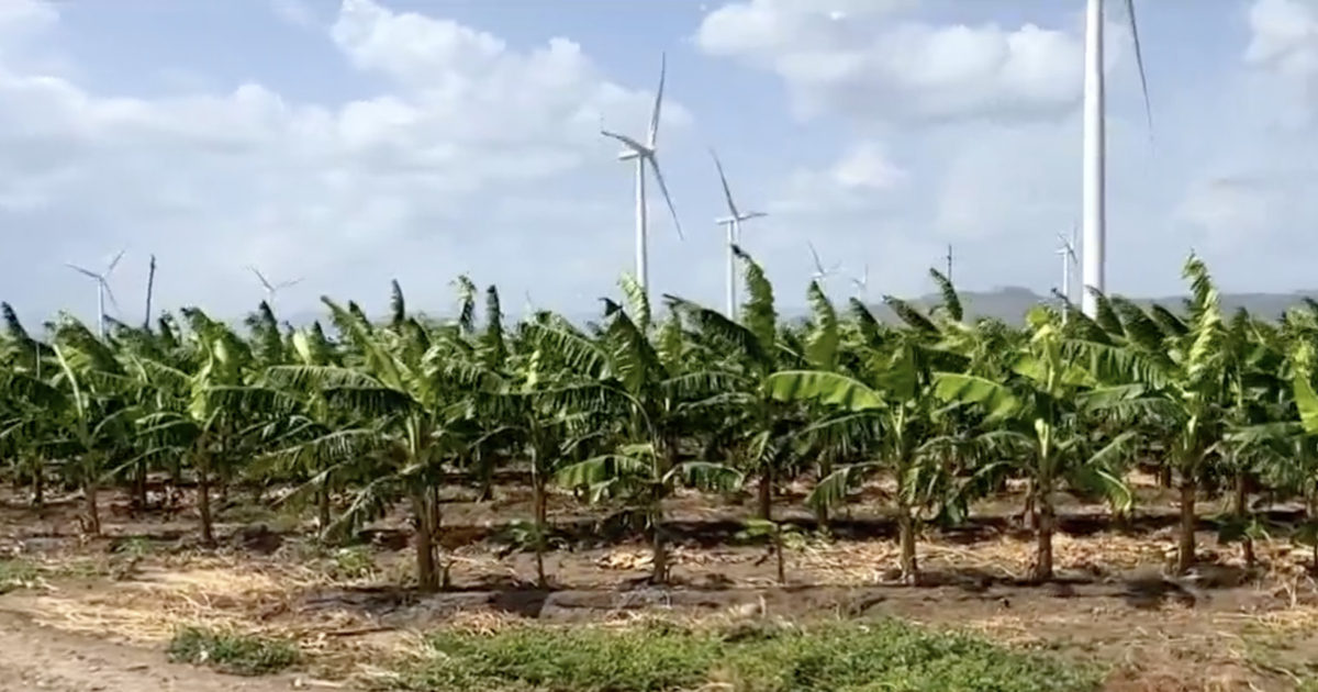 USDA amplía declaración de desastre por sequía a tres pueblos adicionales