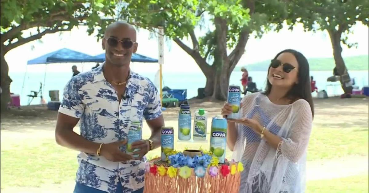 Seven Seas Rup Coco Agua de coco Goya refresca el Summer Bash en Seven Seas | Summerbash ...