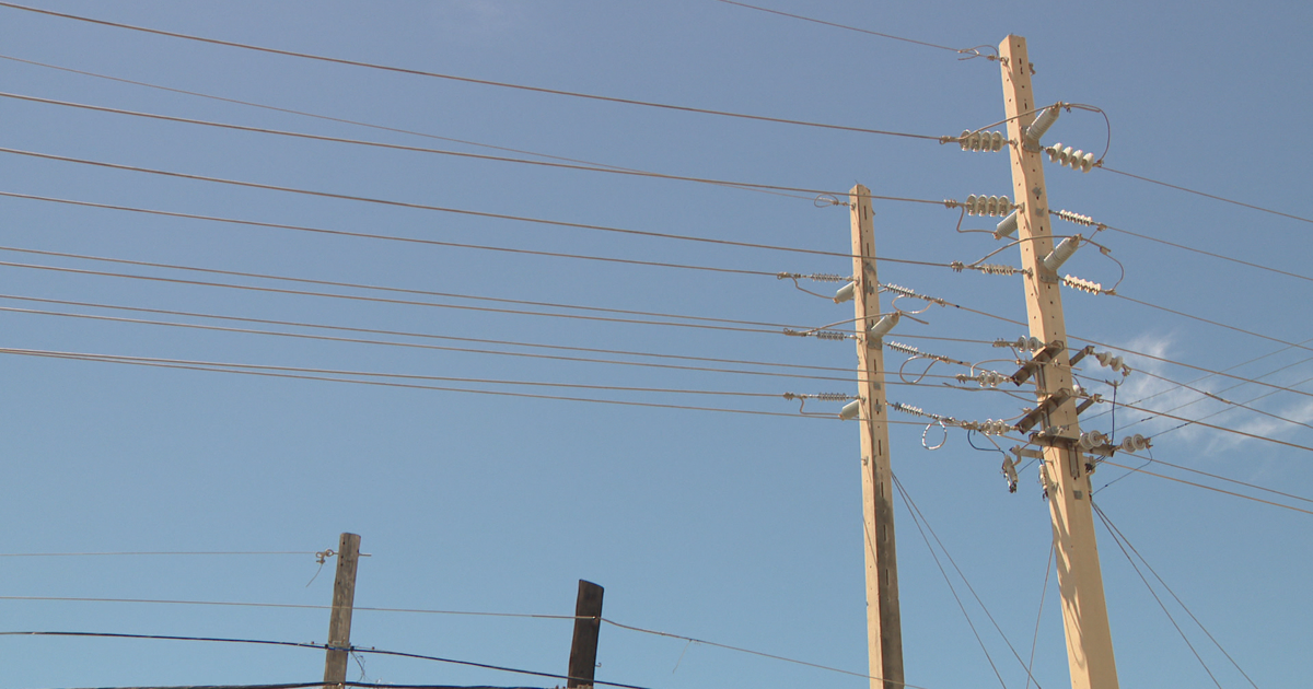 Negociado de Energía: roedores, árbol y fallas de LUMA causaron apagón de Semana Santa 2025