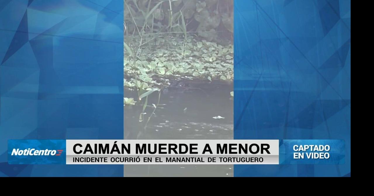 Mujer afirma que su hija fue mordida por un caimán en manantial en Vega Baja