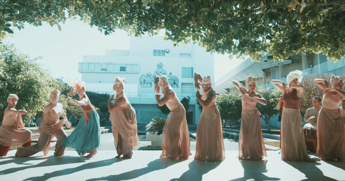 Museo de Arte de Ponce lanza Obra Viva para reinterpretar su colección a través de la danza