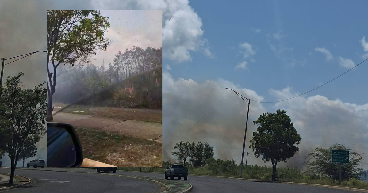 Múltiples incendios forestales activos en Ponce; Bomberos y DRNA responden en zona sur