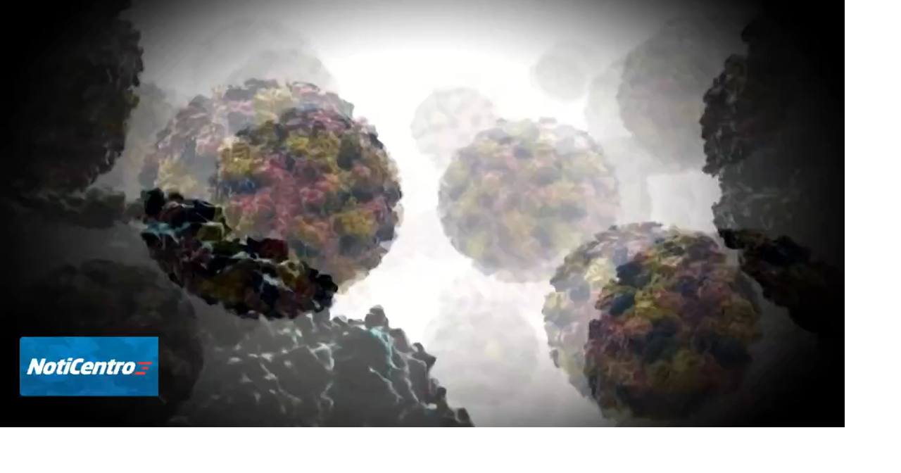 Experto explica cómo prevenir contaminación ante brote de ciclosporiasis en EE.UU.