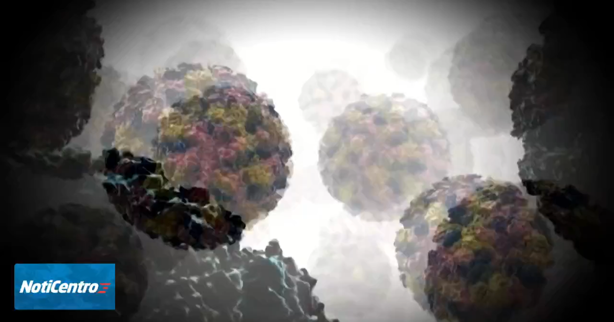 Experto explica cómo prevenir contaminación ante brote de ciclosporiasis en EE.UU.