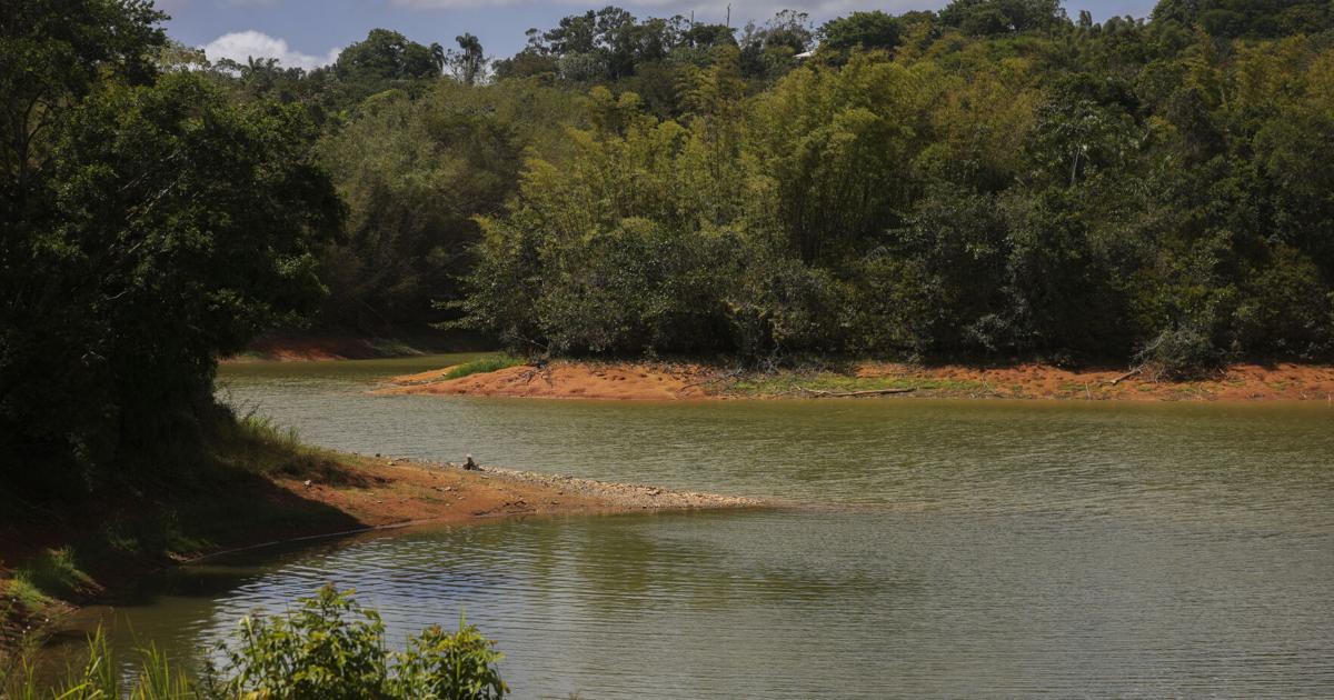 Guardia Nacional purifica agua en Canóvanas y evalúa expandir operativo a otros municipios