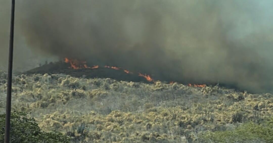 Fuego de pastizal afecta visibilidad en expreso 52 entre Salinas y Cayey