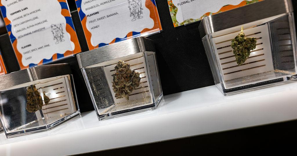 Junta Reglamentadora del Cannabis Medicinal evalúa orden federal de reclasificación