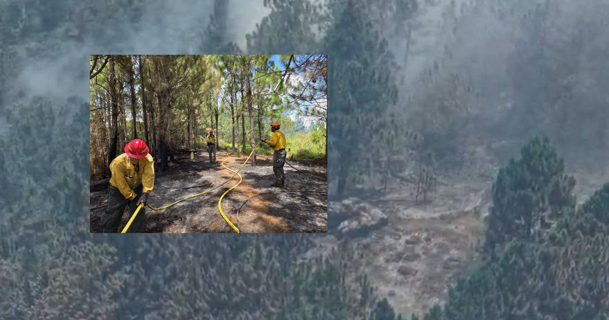 Activan la Guardia Nacional para atender fuego forestal en monte de Cayey