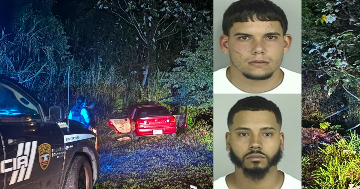 Radican cargos a dos hombres por posesión ilegal de rifles y armas en Naranjito