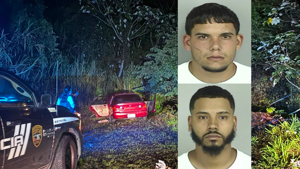 Imagen del artículo de WAPA: Radican cargos a dos hombres por andar posesión de rifles y armas en Naranjito