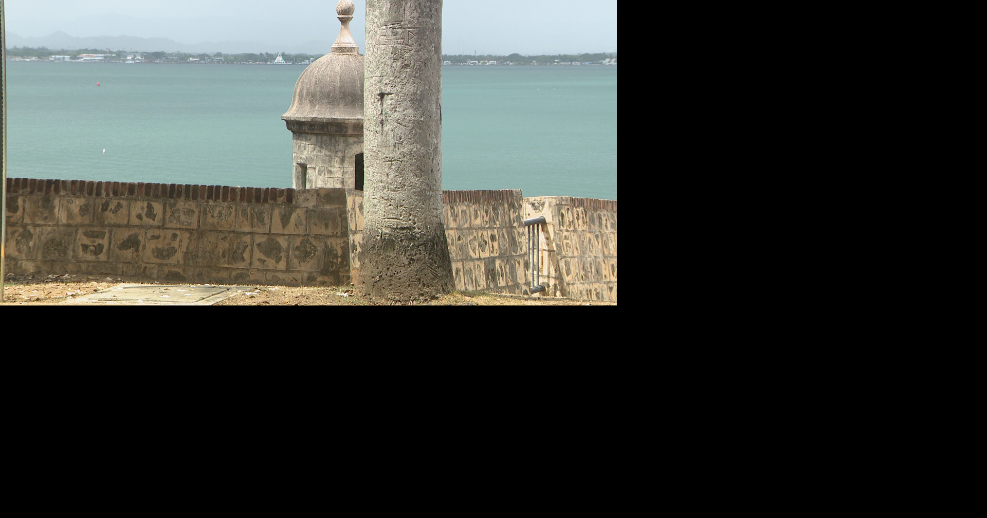 Residentes del Viejo San Juan se oponen a tala de árboles en Caleta de las Monjas