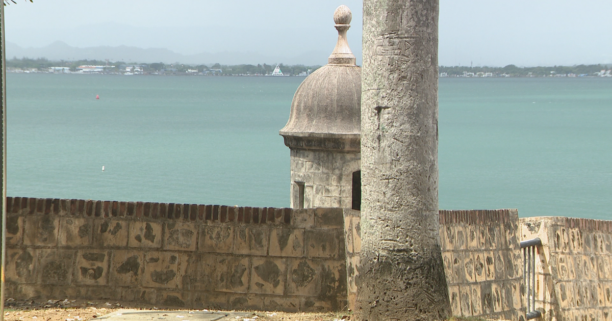 Residentes del Viejo San Juan se oponen a tala de árboles en Caleta de las Monjas