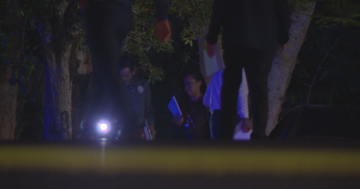 Policía describe a víctima de asesinato hallada dentro de un BMW baleado en Cupey