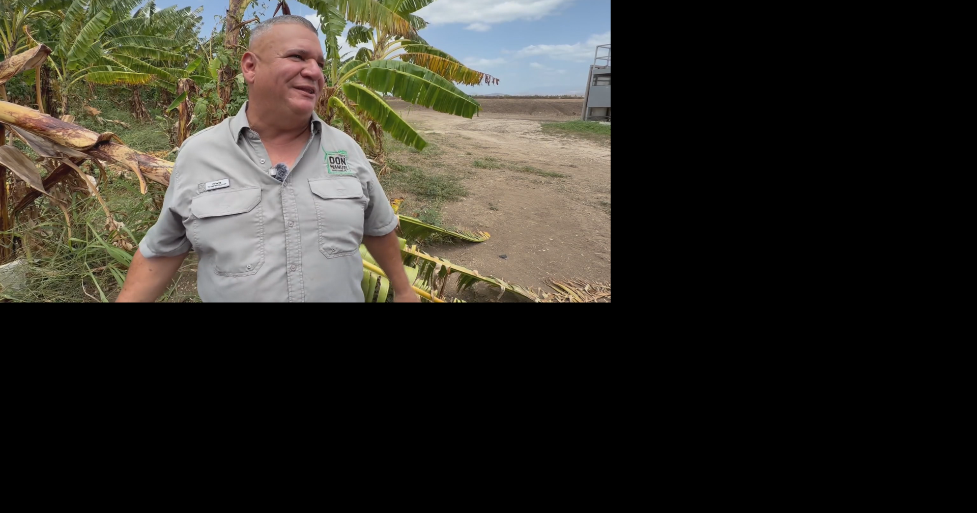 Finca en Santa Isabel estima pérdidas millonarias por sequía y reduce siembra a la mitad
