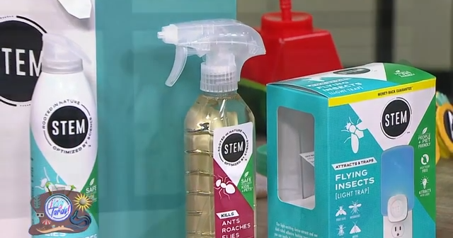 Stem Insectos Elimina a los insectos de tu casa con STEM | Viva La Tarde | wapa.tv