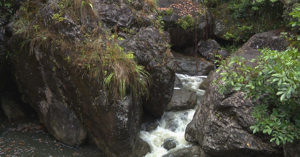 AAA interrumpirá servicio de agua este domingo en sectores de Río Grande por 48 horas