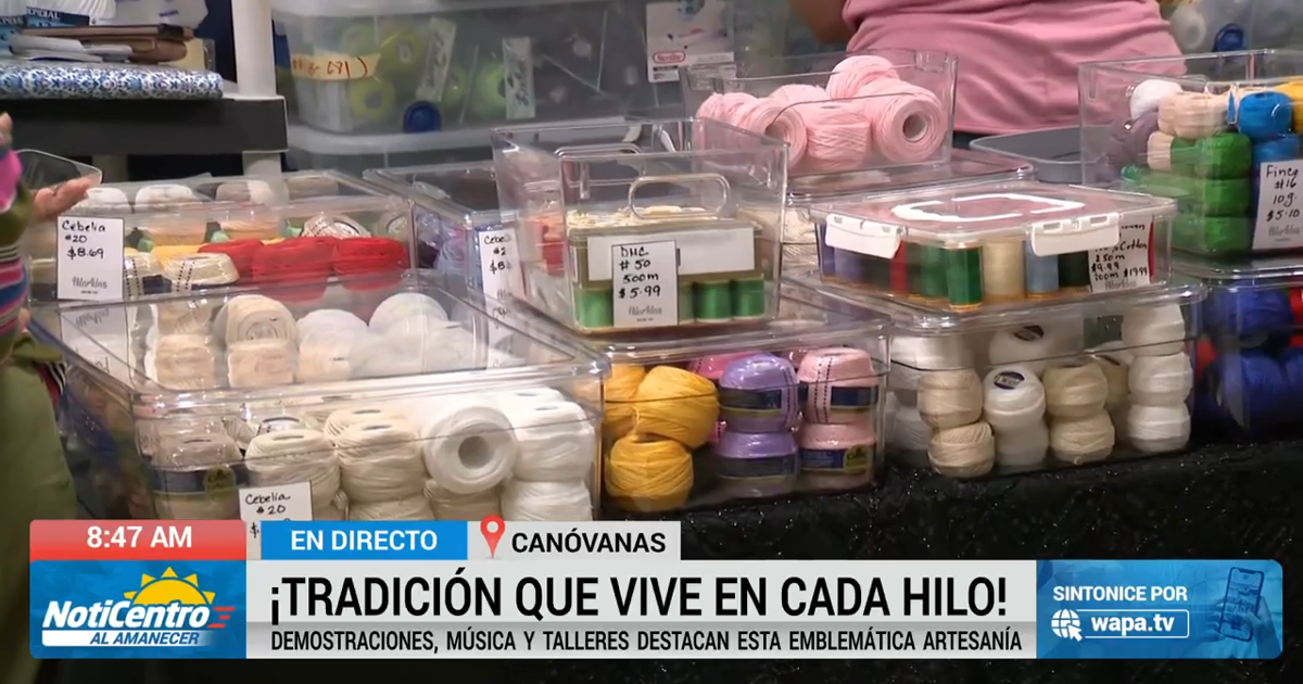 Celebran Día Nacional del Mundillo Puertorriqueño en Canóvanas