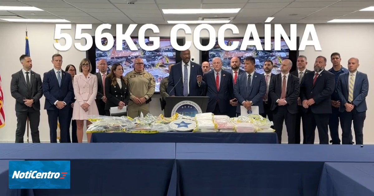 Confiscan 556 kilos de cocaína en más de 448 paquetes enviados por correo
