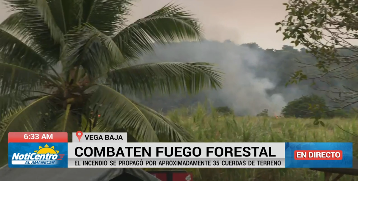 Cenizas por fuego forestal afectan a comunidades en Vega Baja