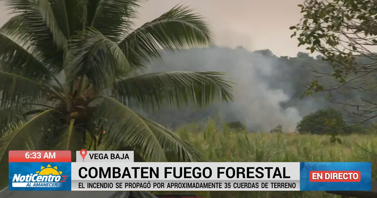 Cenizas por fuego forestal afectan a comunidades en Vega Baja