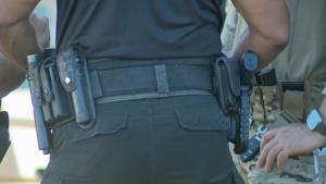 Imagen del artículo de WAPA: Delincuentes roban pertenencias y matan a perra de víctima en Las Piedras