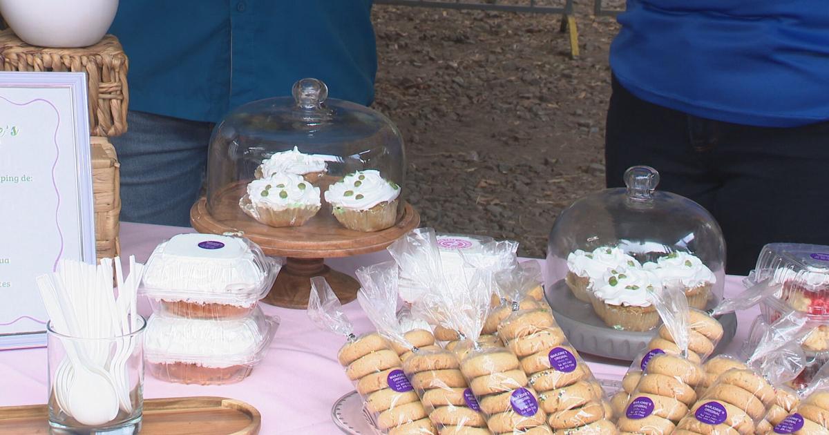 Festival del Lago en Villalba celebra su segunda edición con gastronomía, música y cultura local