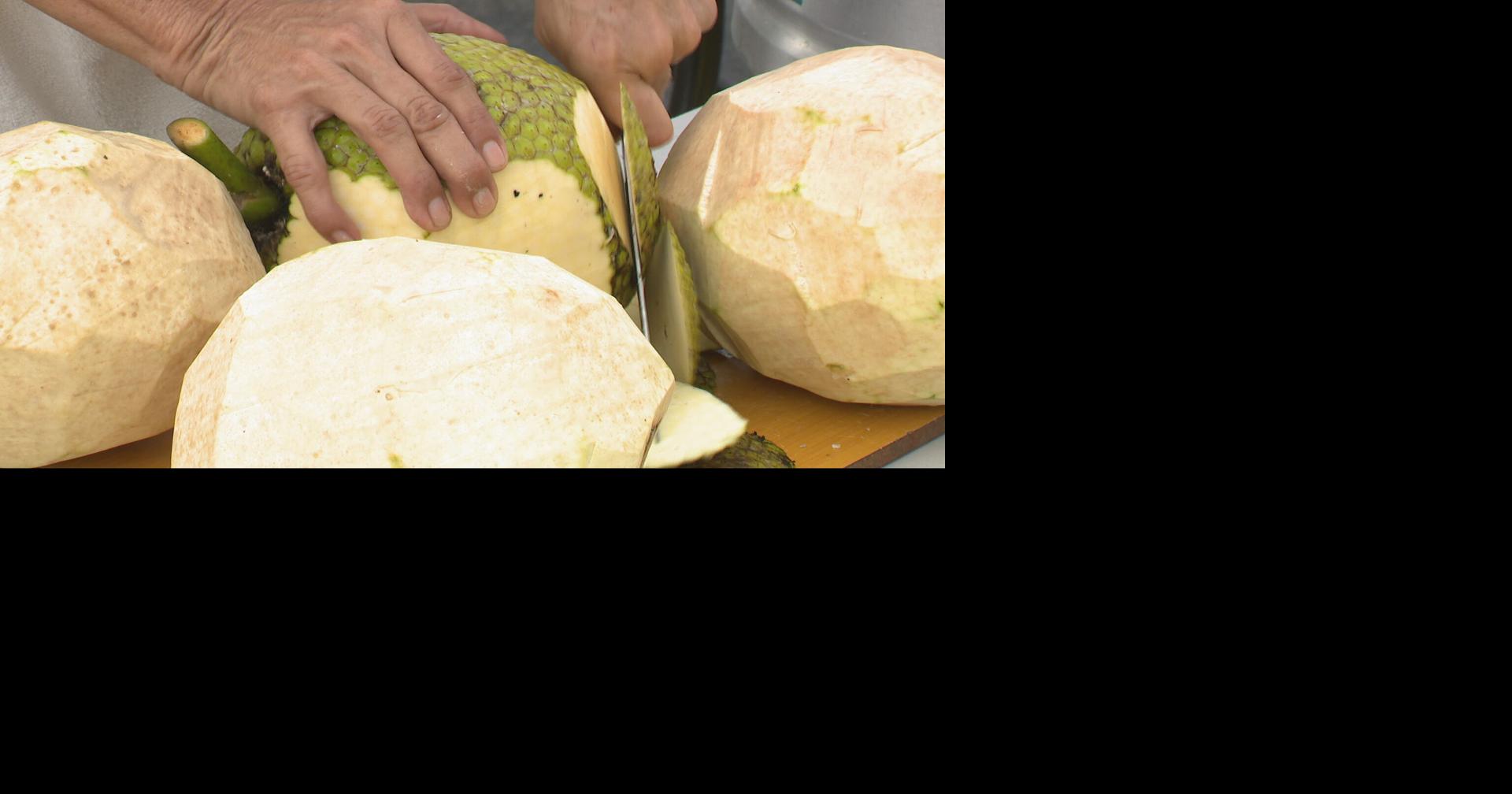 Humacao celebra el tercer y último día del Festival de la Pana