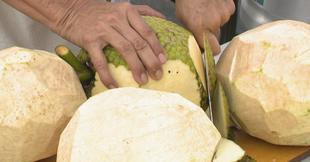 Humacao celebra el tercer y último día del Festival de la Pana