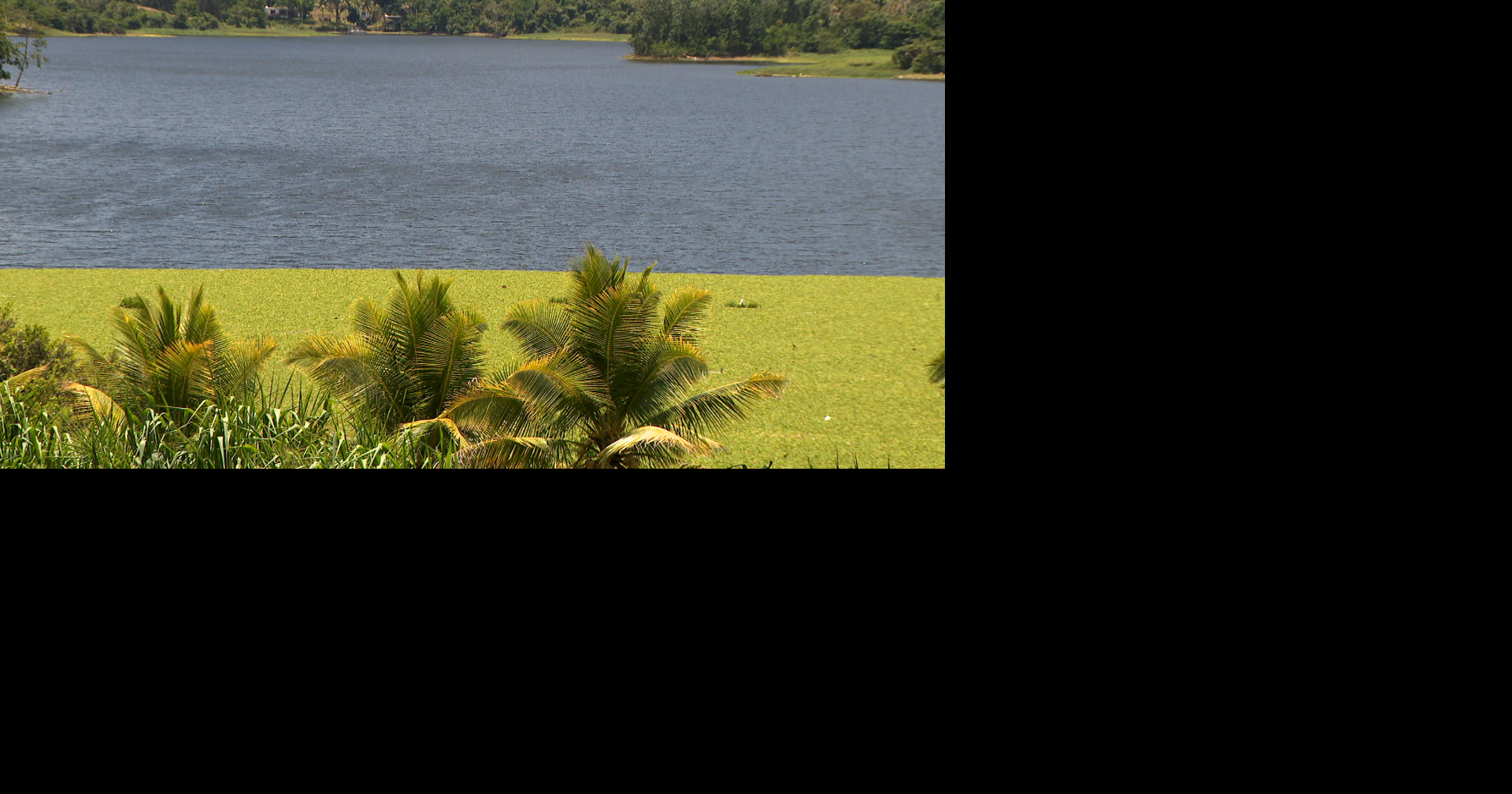 Seis municipios del este de PR podrían enfrentar racionamiento de agua por sequía