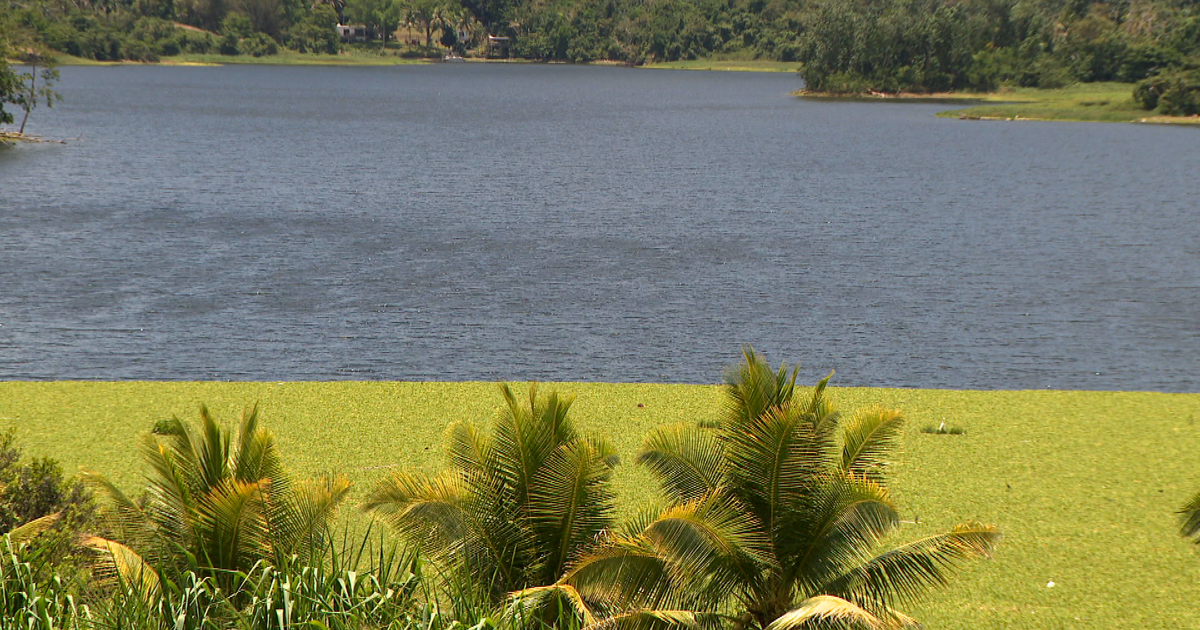 Seis municipios del este de PR podrían enfrentar racionamiento de agua por sequía