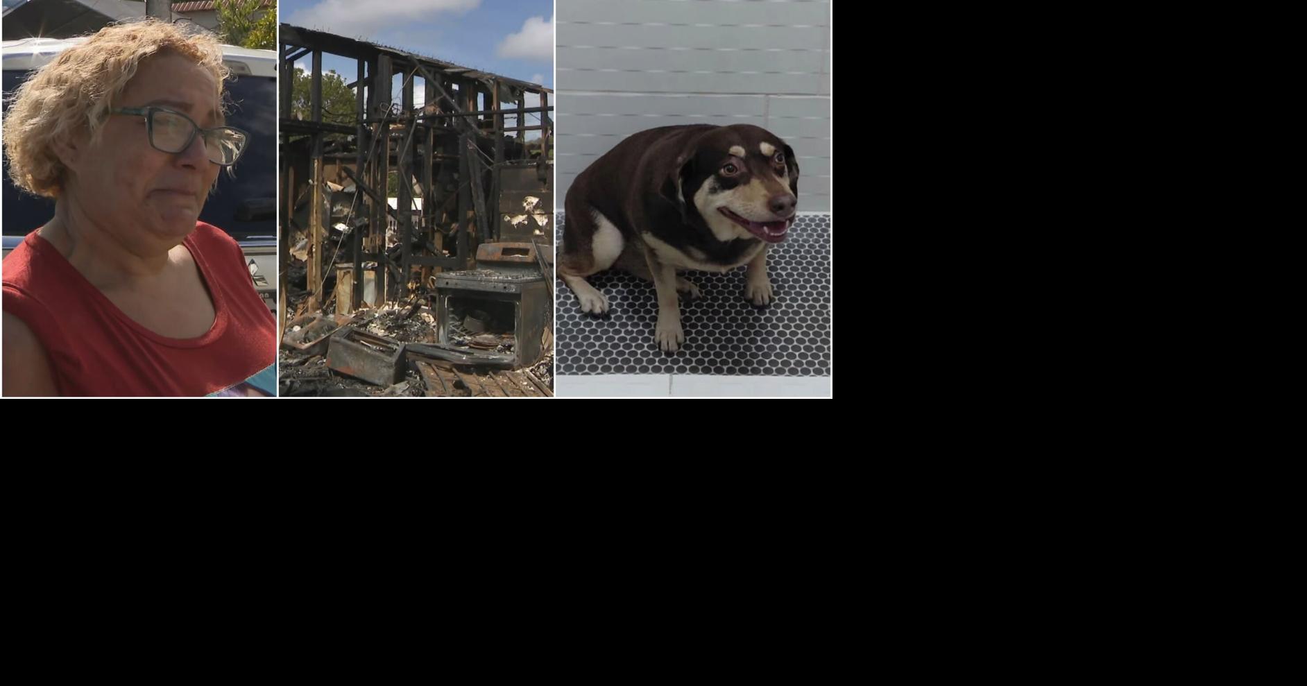 Mujer pierde su hogar de 15 años y su perrita en incendio en Fajardo