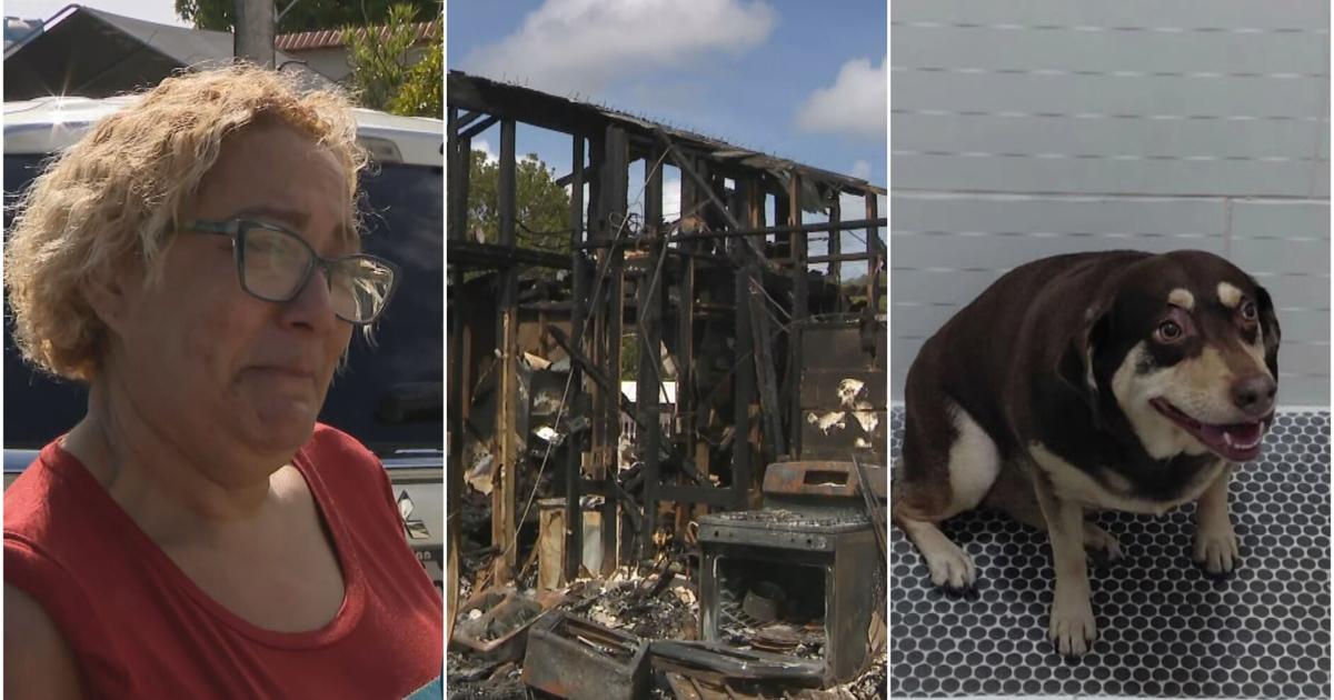 Mujer pierde su hogar de 15 años y su perrita en incendio en Fajardo